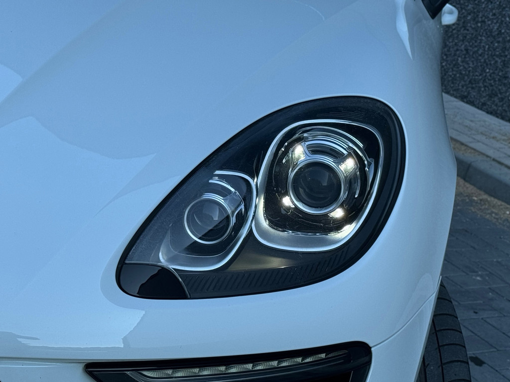 39268942-11.jpg